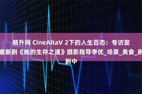 顺升网 CineAltaV 2下的人生百态：专访窦靖童新剧《她的生存之道》摄影指导李优_场景_美食_剧中