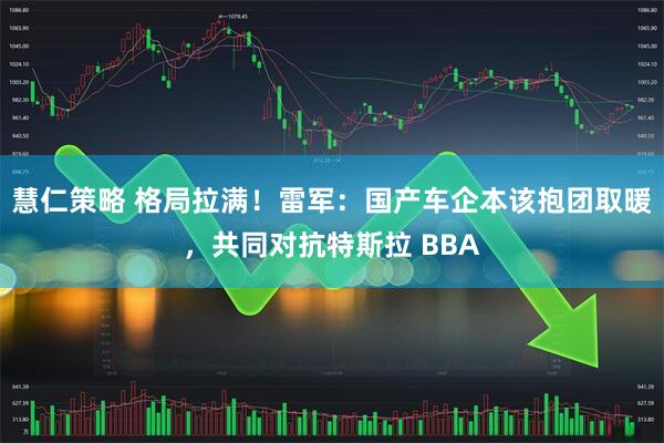 慧仁策略 格局拉满！雷军：国产车企本该抱团取暖，共同对抗特斯拉 BBA