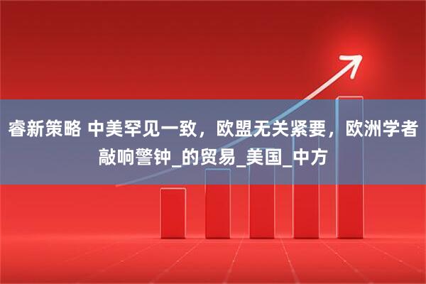 睿新策略 中美罕见一致，欧盟无关紧要，欧洲学者敲响警钟_的贸易_美国_中方