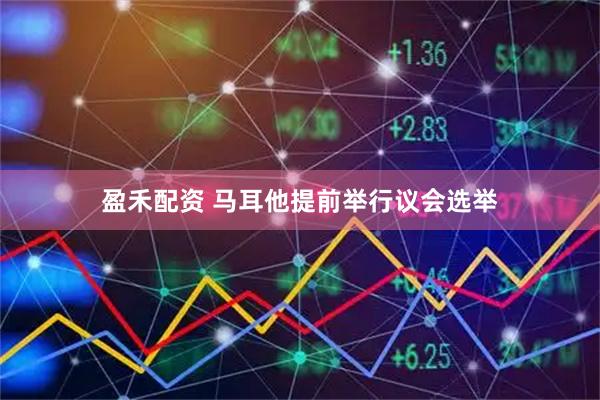 盈禾配资 马耳他提前举行议会选举