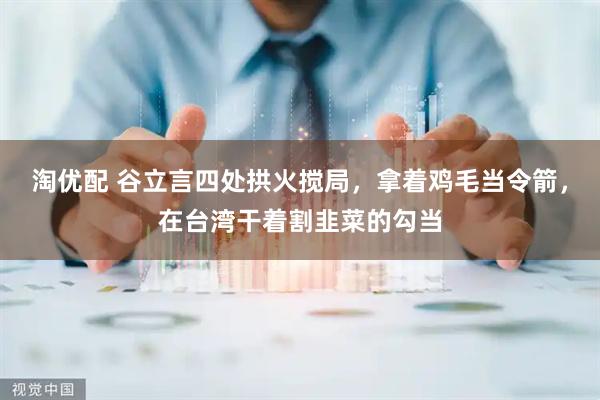淘优配 谷立言四处拱火搅局,拿着鸡毛当令箭,在台湾干着割韭菜的勾当