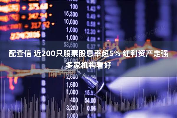 配查信 近200只股票股息率超5% 红利资产走强多家机构看好