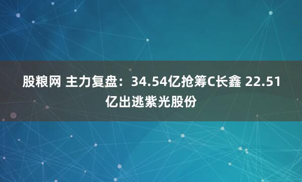 股粮网 主力复盘：34.54亿抢筹C长鑫 22.51亿出逃紫光股份